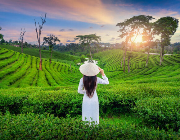 MUNNAR-THEKKADY-ALLEPPEY-KOVALAM-6D
