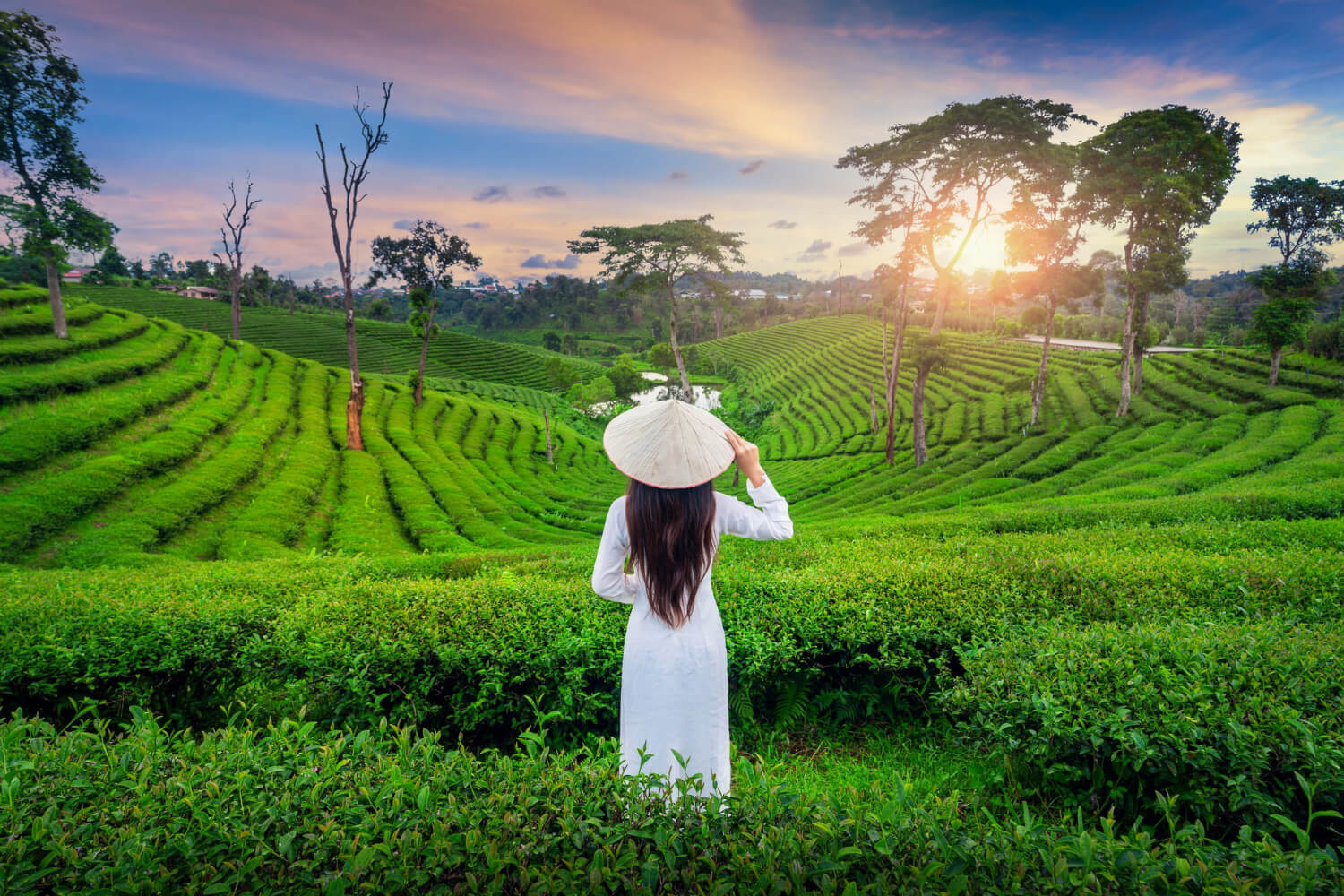 MUNNAR-THEKKADY-ALLEPPEY-KOVALAM-6D