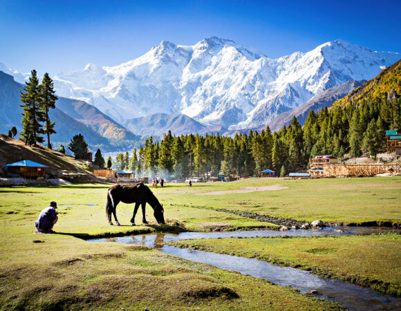 Kashmir 6 Days
