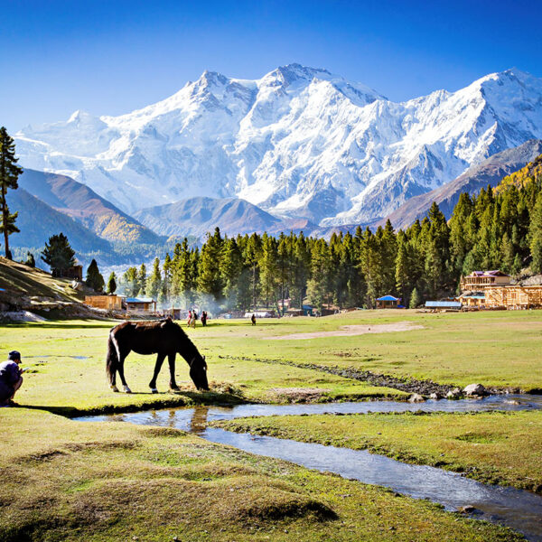Kashmir 6 Days