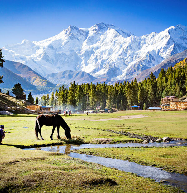 Kashmir 6 Days