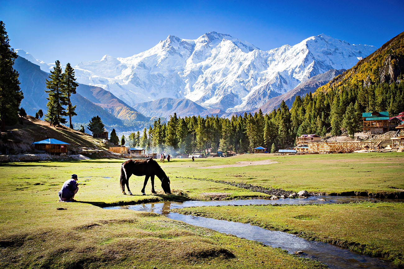 Kashmir 6 Days