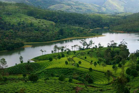Thekkady