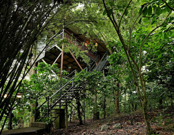 COFFEE ACRES RESORT WAYANAD