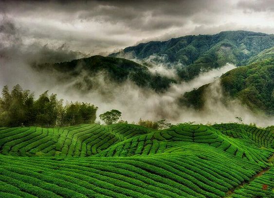 Vagamon