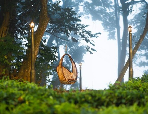 HIPNOETIC STAYS WAYANAD