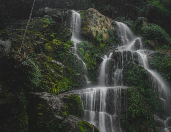 GANGTOK & DARJEELING 6 Days